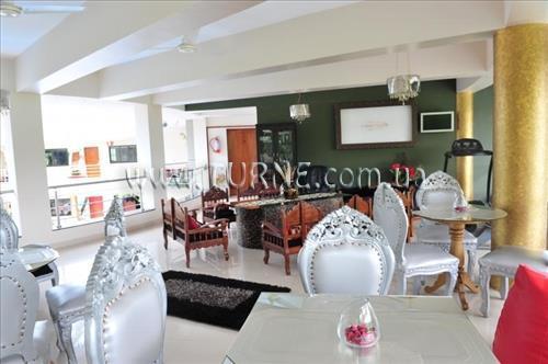 The Emerald Forest 4* суреті