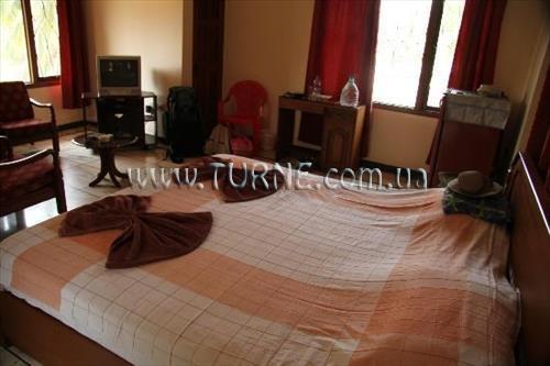 Фото Pretty Petals Guest House 3*