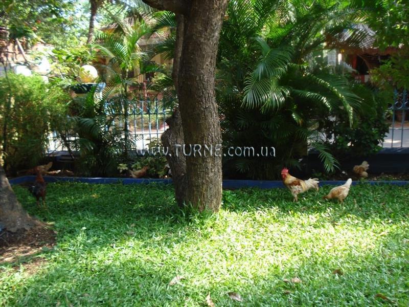 The Quest Hotel 1* суреті