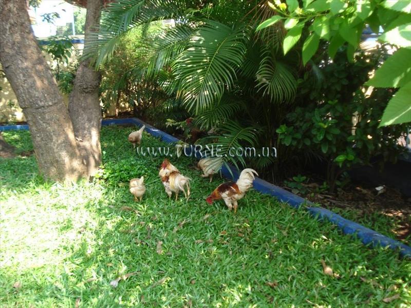 The Quest Hotel 1* суреті