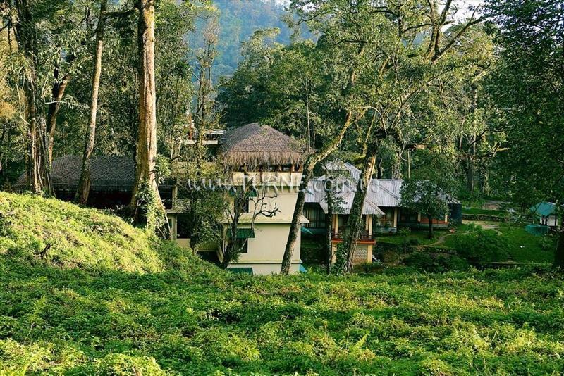 Deep Woods Resort 3* фотосуреті