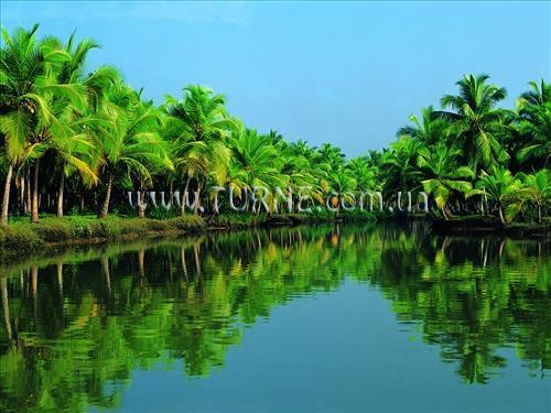 Manaltheeram Ayurveda Beach Village 3* суреті