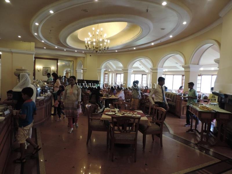 Tea County 4* суреті