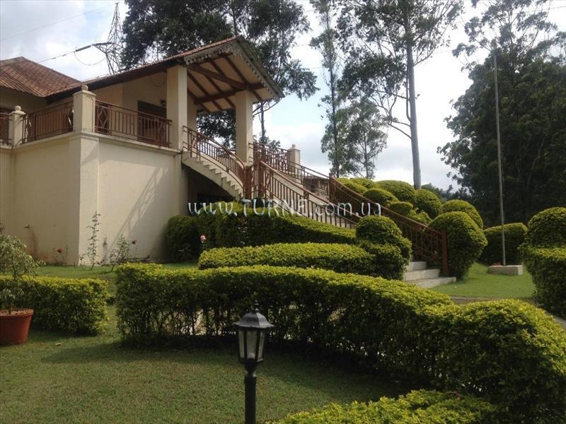 Tea County 4* фотосуреті