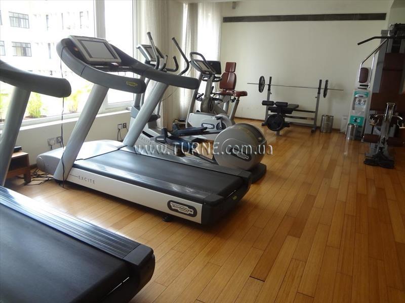 The Park 4* суреті