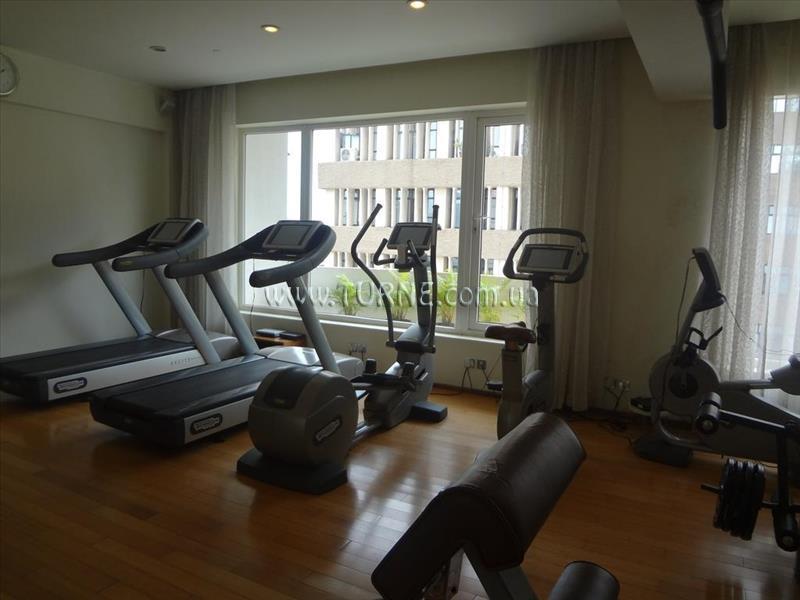 The Park 4* суреті