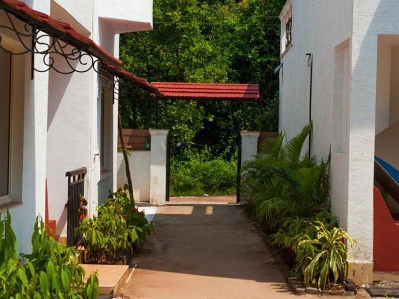 Изображение Whispering Woods 3*