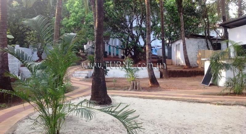 Shiva Resort 2* суреті