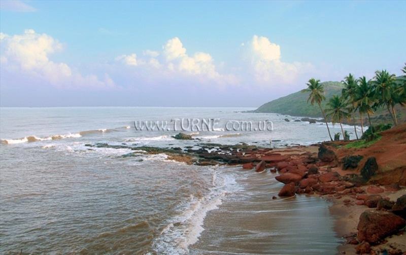 Retreat Anjuna 3* суреті