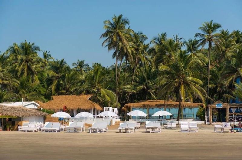 Tahira Silent Resort 3* суреті