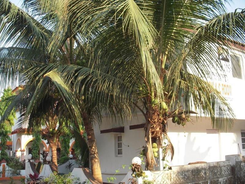 Фото Sugar Plum 1*