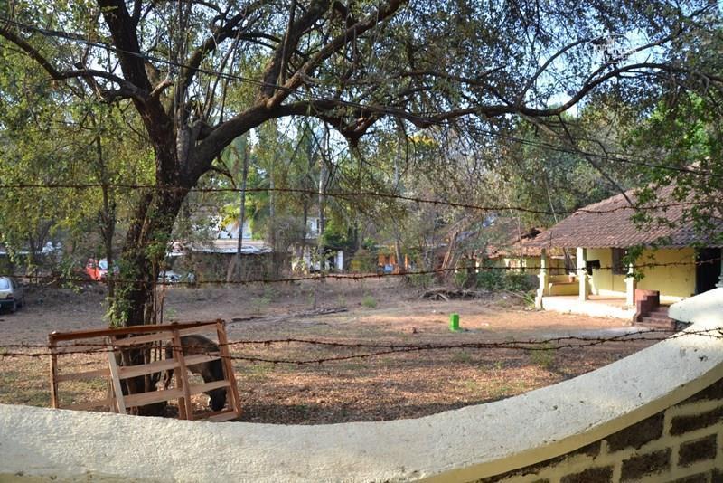 Jitu Guest House 1* фотосуреті