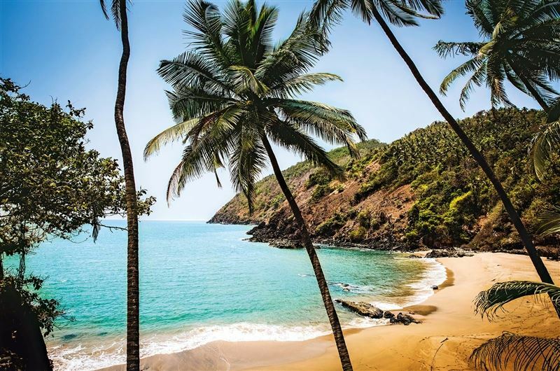 Fortuna 3* 3* суреті