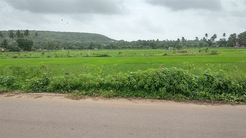 Фотография Om Guest House 3*