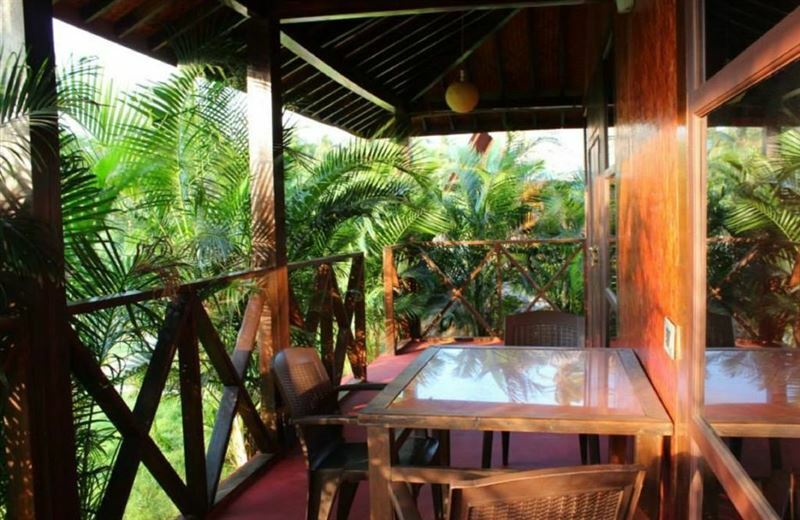 Rock Water Resort 3* суреті