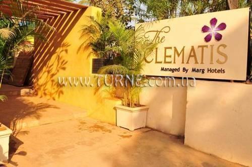 The Clematis 4* суреті