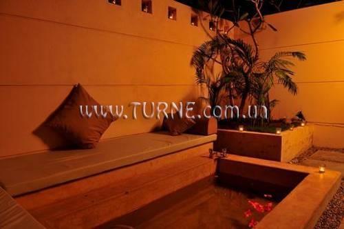 The Clematis 4* суреті