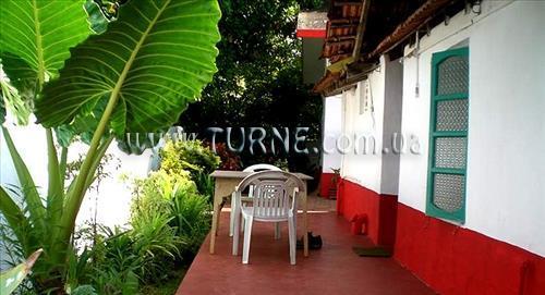 Изображение Jolly Jolly Lester 2*