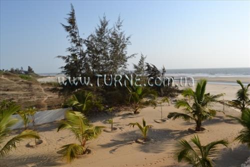 Mandrem Beach Resort 2* суреті