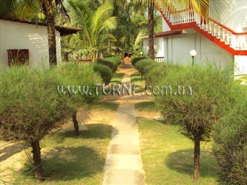 Mandrem Beach Resort 2* суреті