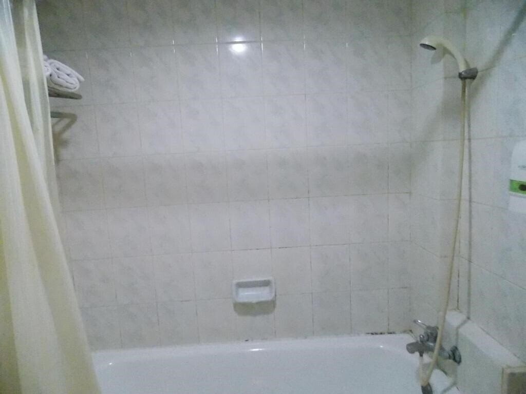 Фото Puri Mega Hotel 1*