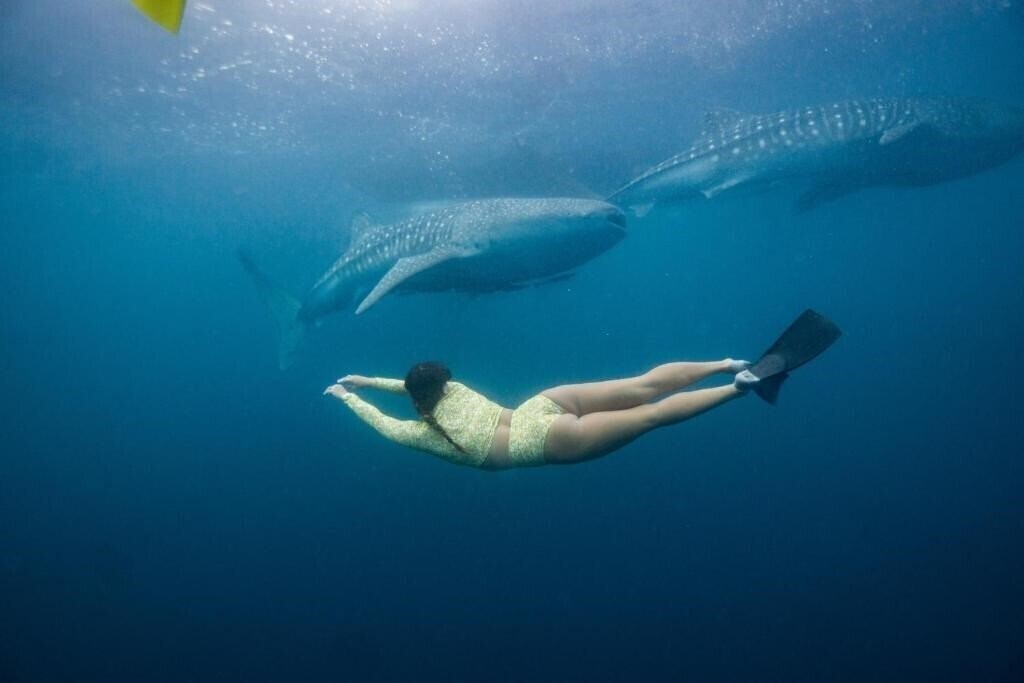 Фото Somewhere Lombok 4*