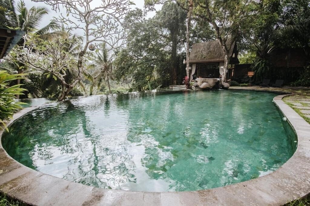 Bucu View Resort 3* суреті