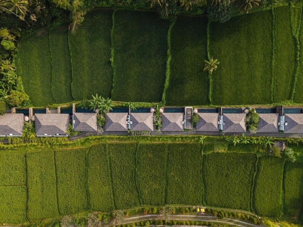 Фотография Kaamala Resort Ubud 5*