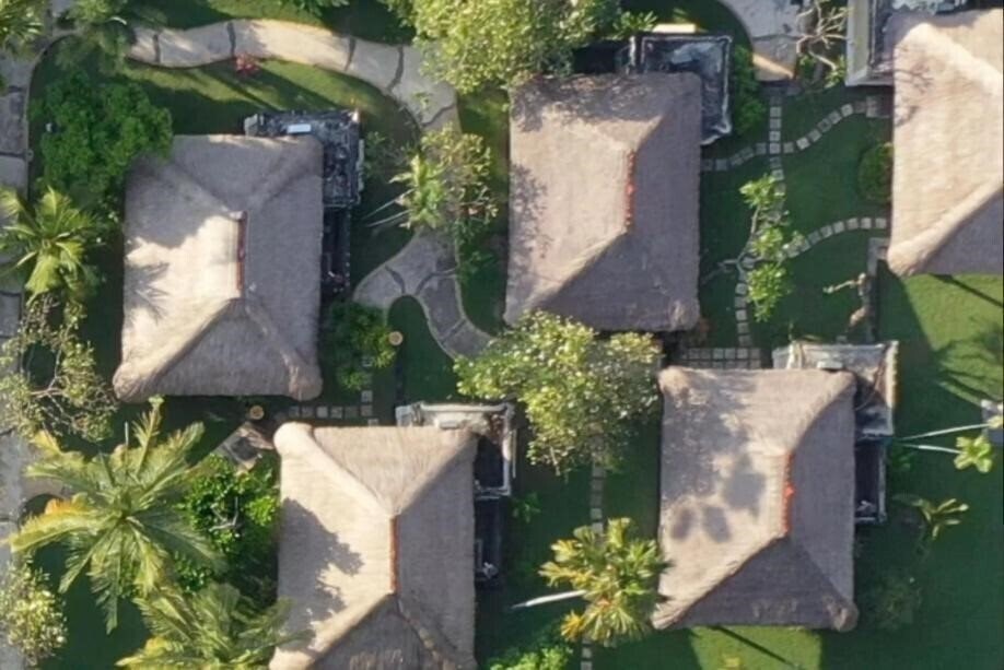 Puri Bagus Lovina 4* суреті