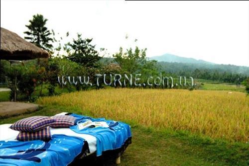 Фотография Puri Bagus Manggis 3*