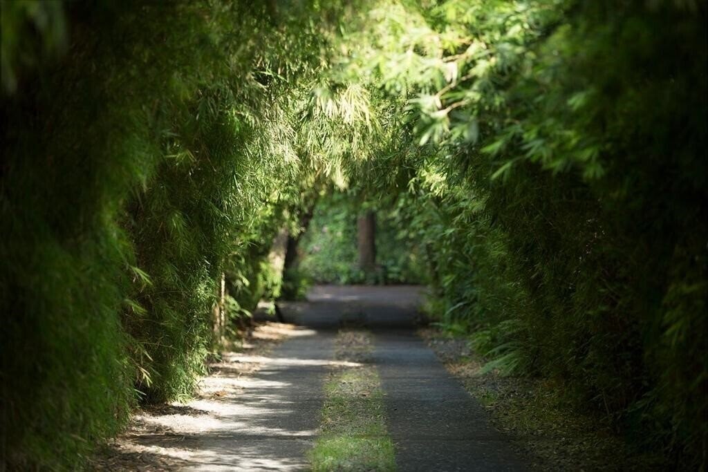 Bali Pavilions 4* суреті