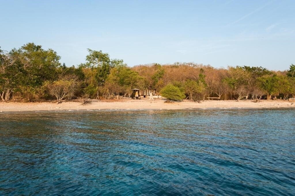 Nusa Bay Menjangan (ex. Nusa Bay Menjangan) 3* суреті