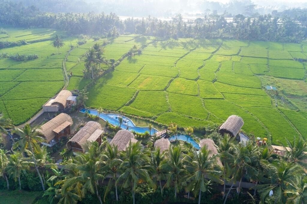 Beehouse Dijiwa Ubud 4* қонақ үйі