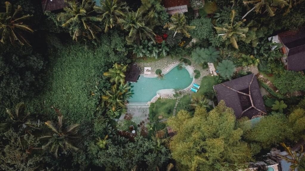 Korurua Dijiwa Ubud 4* суреті