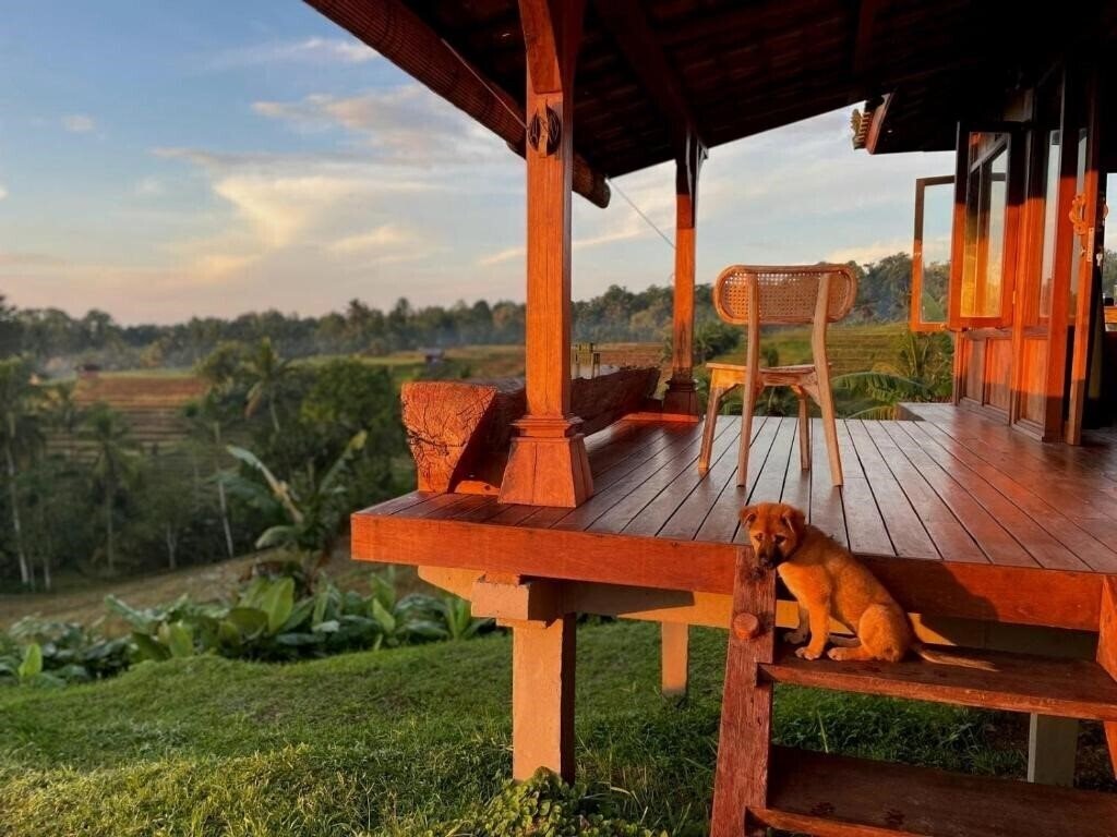 Villa Pacung 4* суреті