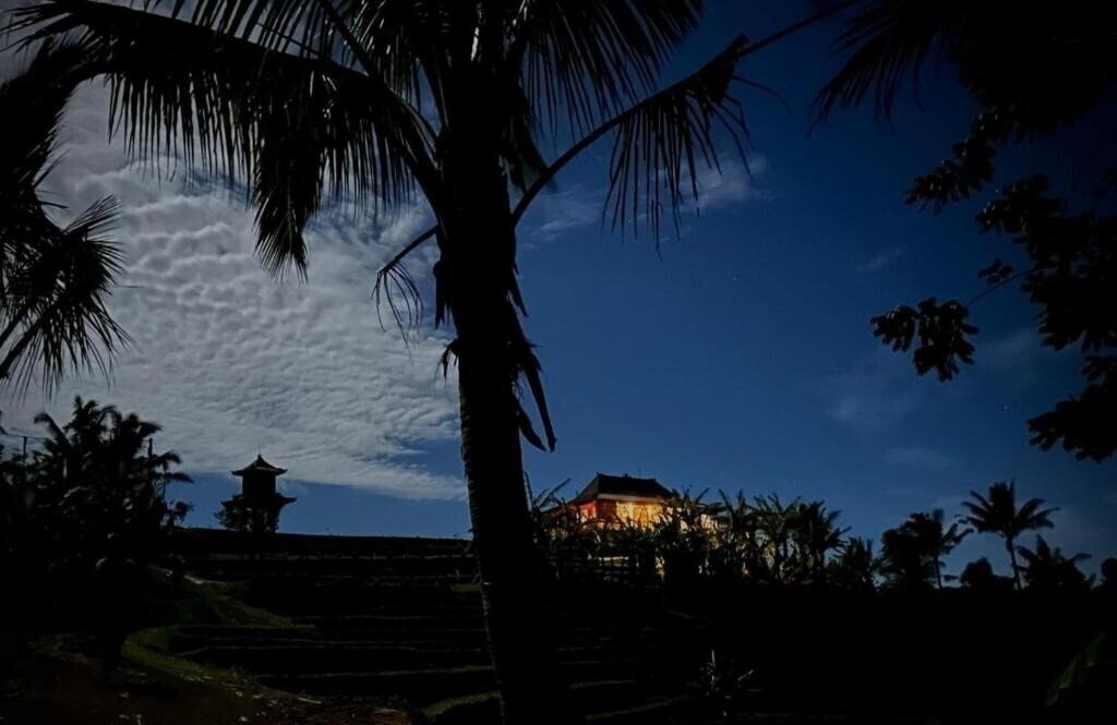 Villa Pacung 4* қонақ үйі