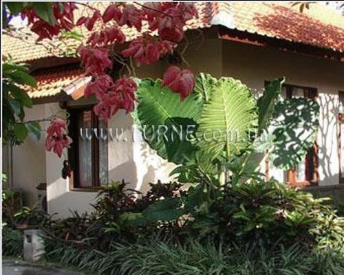 Peneeda View Beach Hotel 2* суреті