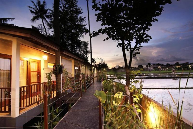 Отель The Studio 1*