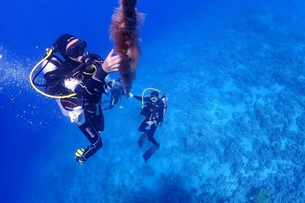 Фотография Beit Al Aqaba Resort 2*
