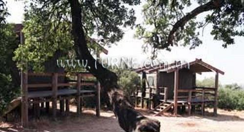 Фото Ajloun Forest Reserve 3*