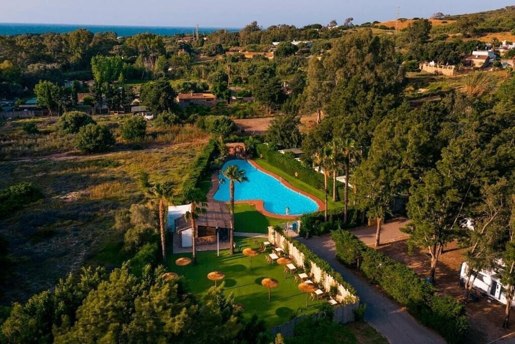 Kampaoh Paloma 2* суреті