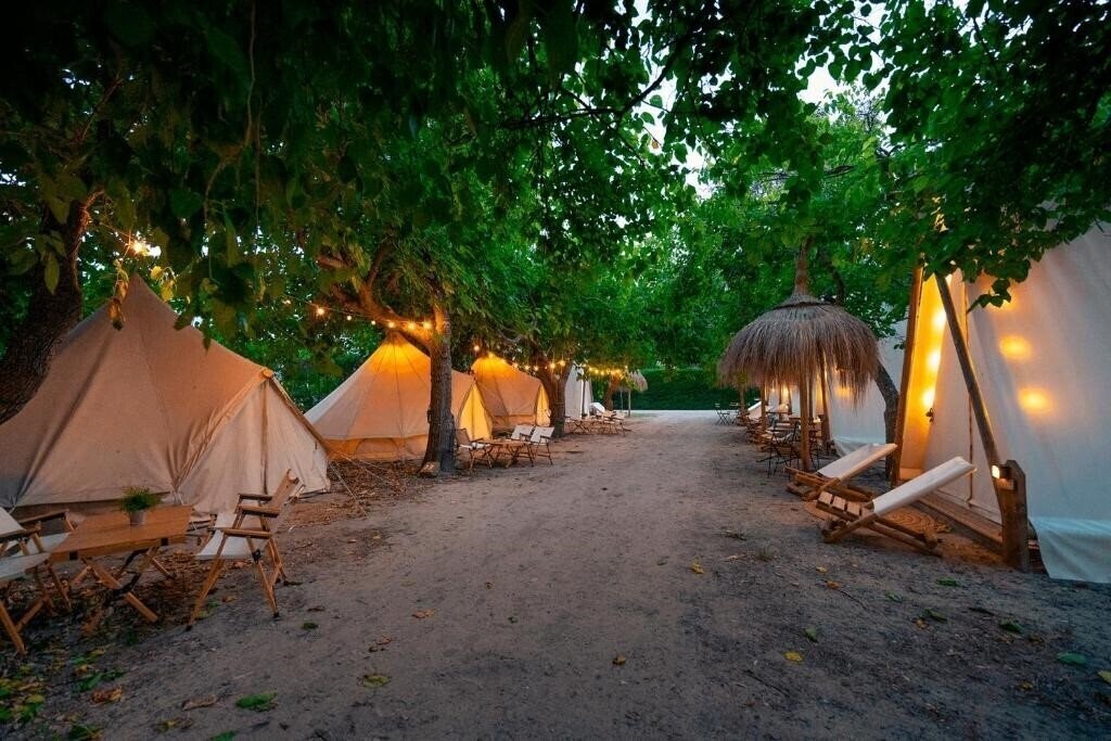 Kampaoh Paloma 2* суреті