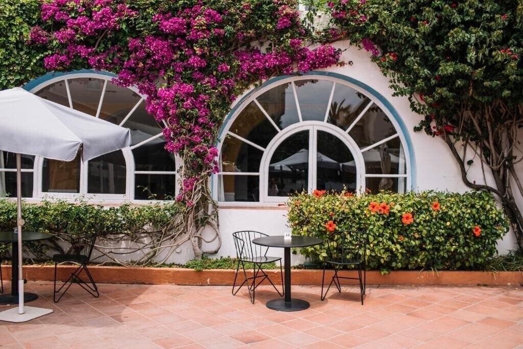 Изображение Cesar 3*