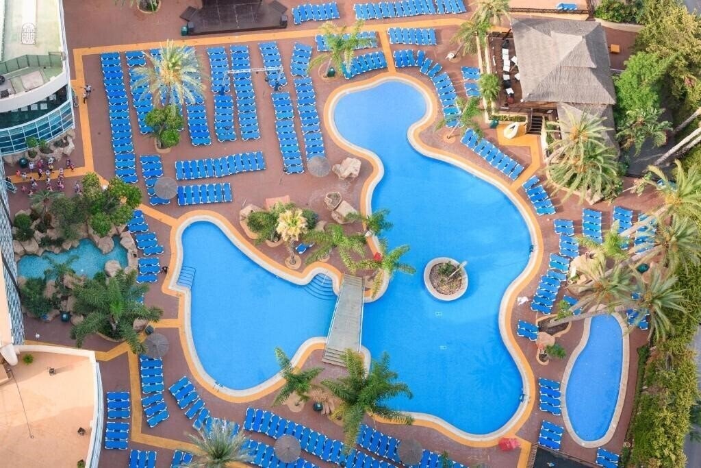 Отель Flamingo Oasis 4*