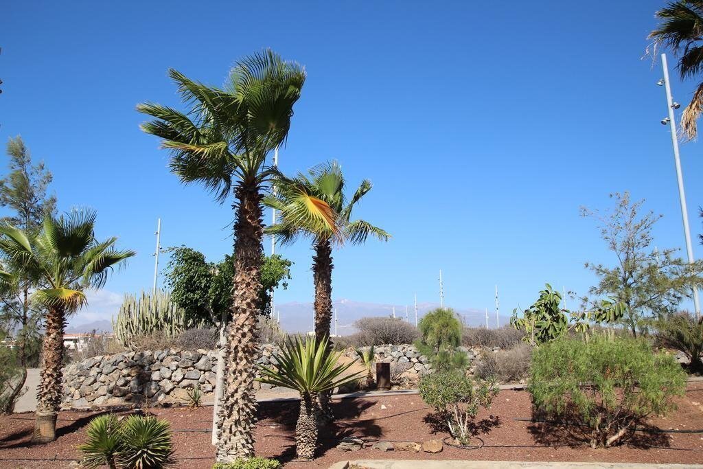 Фотография Trebol Apartamentos 3*