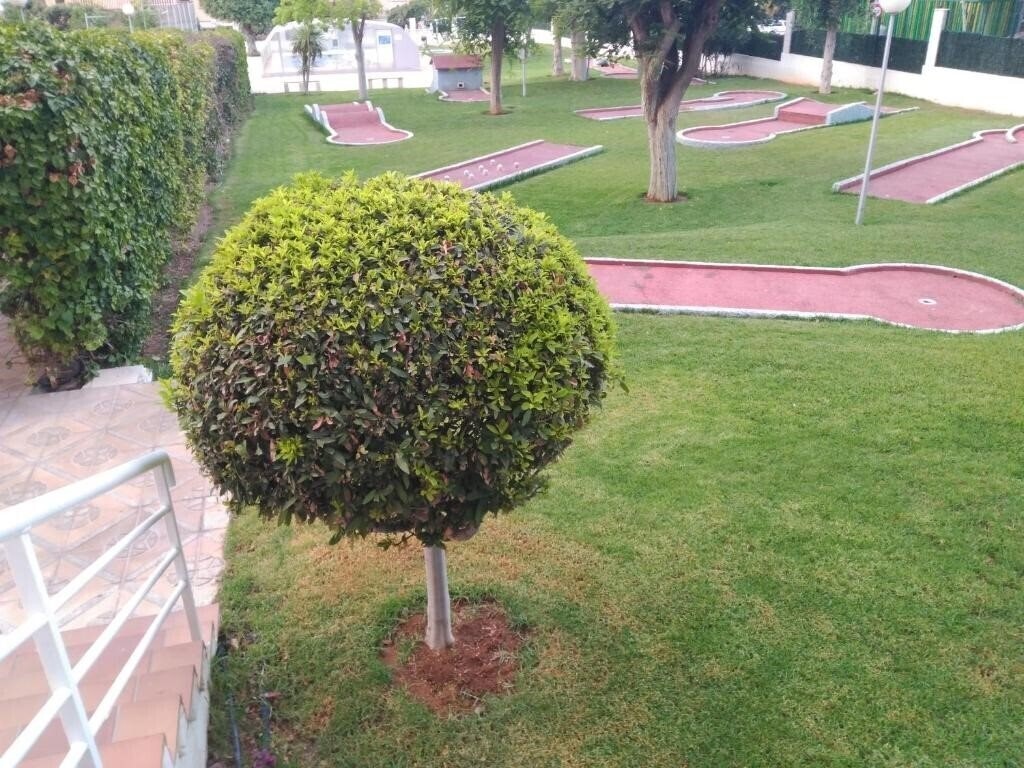 Картинка Gemelos VIII 2*