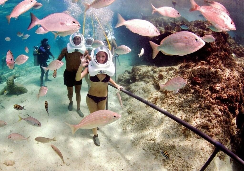 Nervion 3* фотосуреті