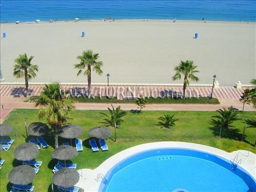 Don Angel 4* суреті