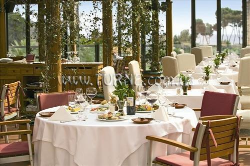 Dorint Royal Golf Resort & Spa 5* суреті