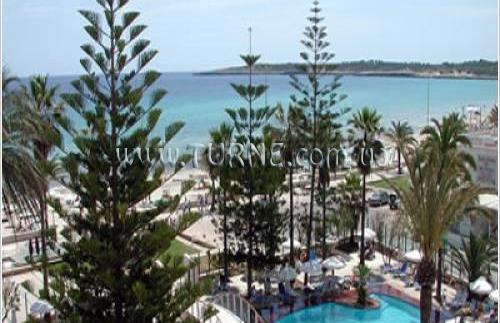 Playa del Moro 4* суреті